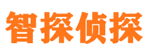 伊吾调查事务所